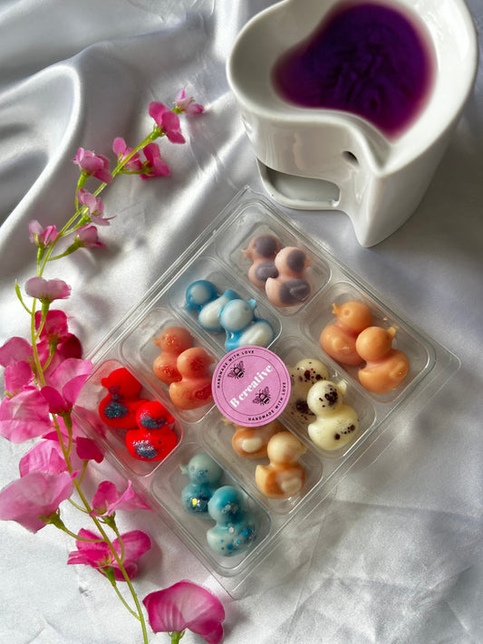 Mystery duck sample boxes